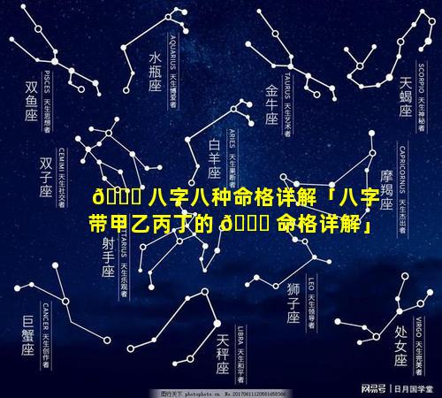 🐋 八字八种命格详解「八字带甲乙丙丁的 🐕 命格详解」